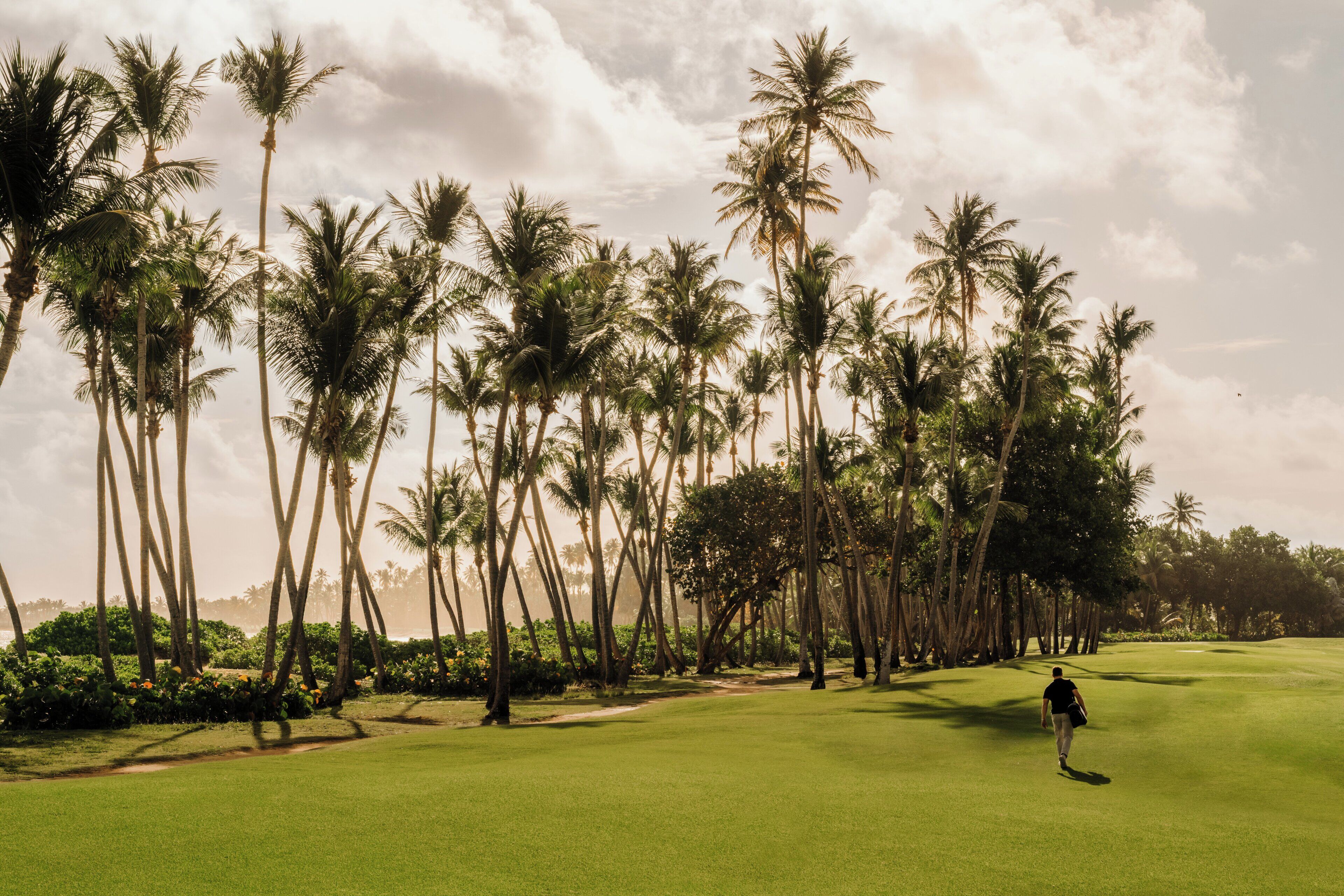 A golf course with a person walking on the green, surrounded by tall palm trees.
