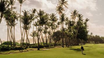 A golf course with a person walking on the green, surrounded by tall palm trees.