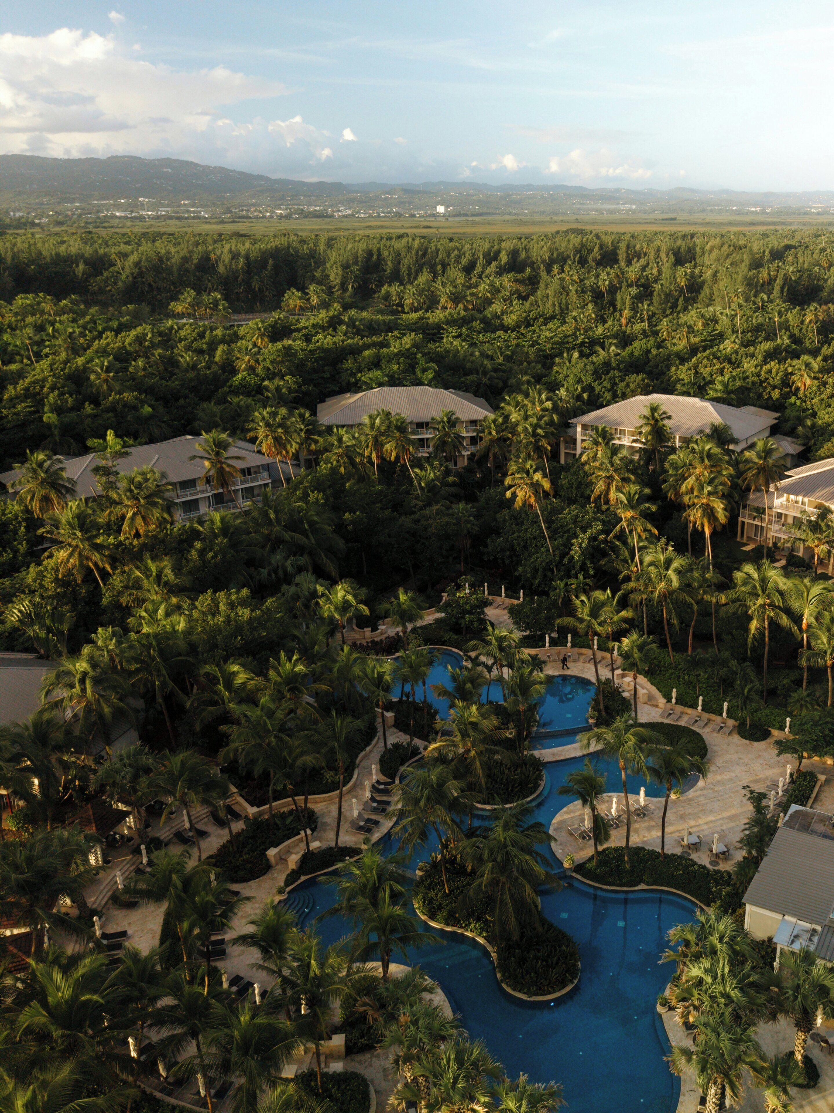 Un resort con múltiples piscinas rodeado de palmeras y vegetación exuberante.
