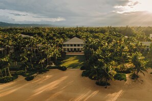 A large building surrounded by palm trees and sand.