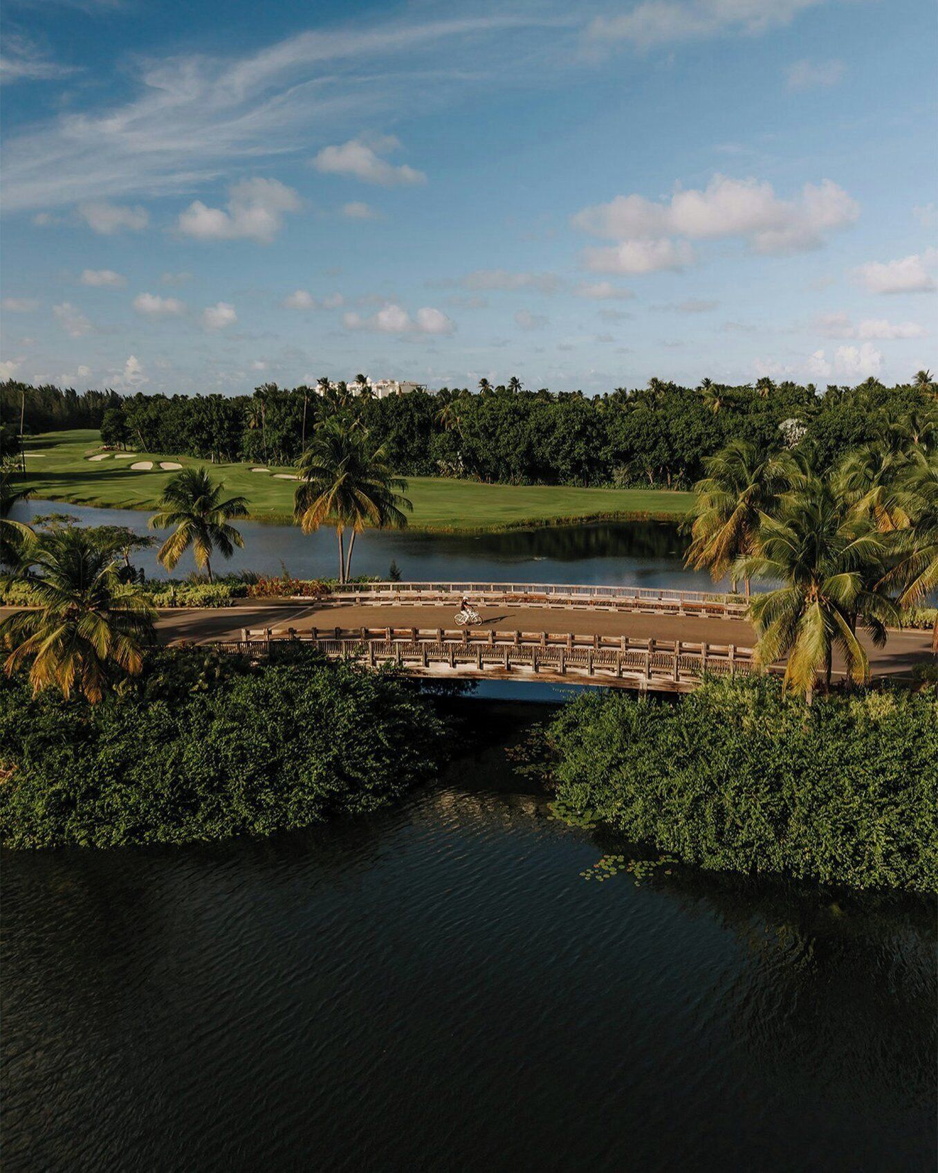 A golf course with a bridge over water, palm trees, and a clear sky.