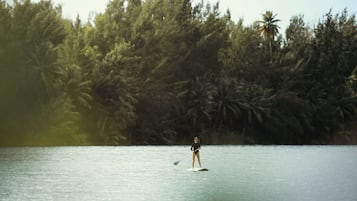 A person paddleboarding on calm water with a dense forest in the background.