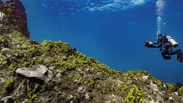 On the beach, beach cabanas, sun-loungers, beach umbrellas