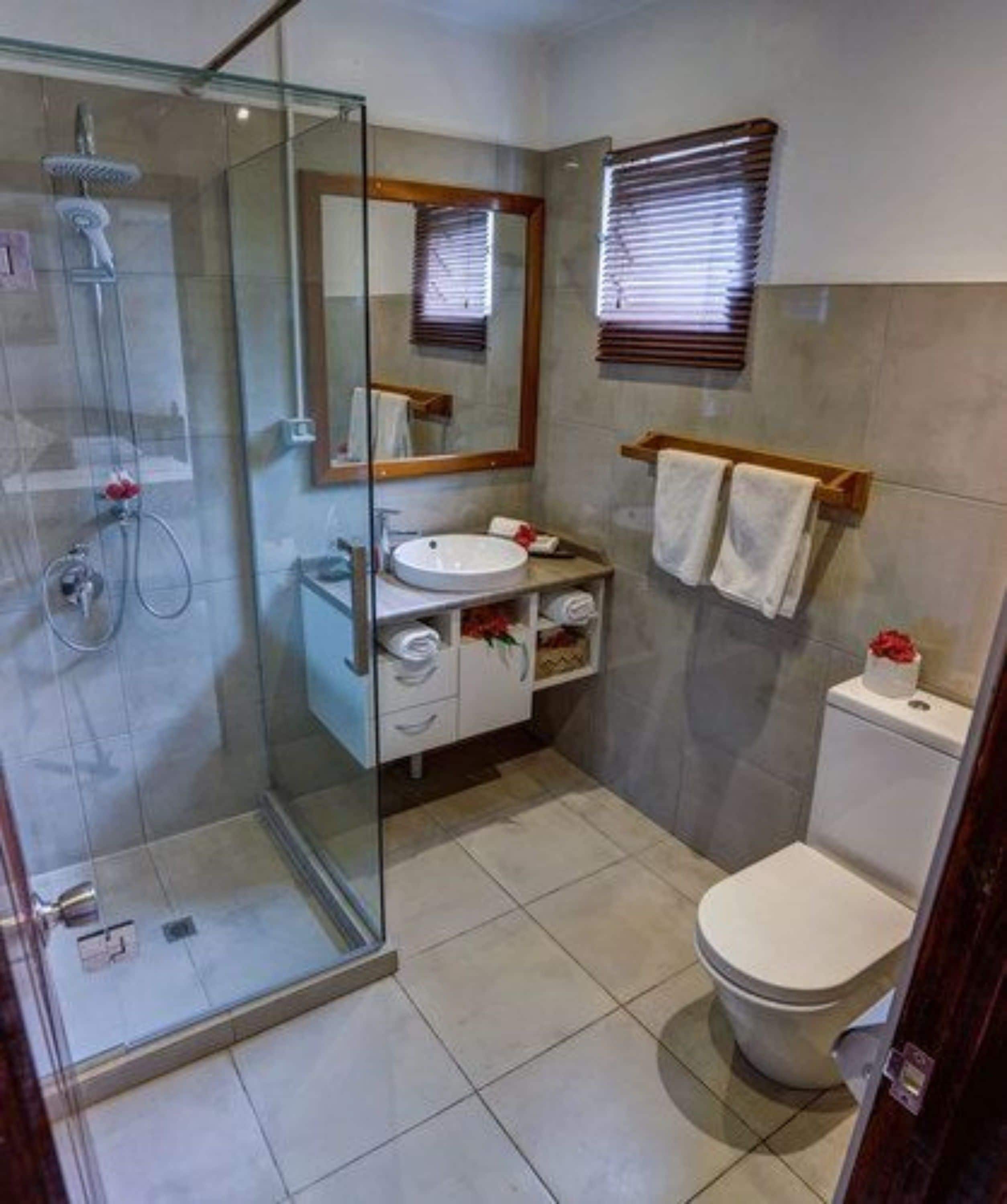 A bathroom with a glass shower enclosure, a sink, a toilet, and a mirror.