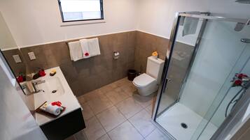 A modern bathroom with a glass shower enclosure, a sink with a mirror, and a toilet.