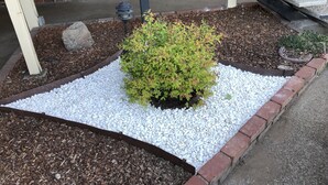 Un jardín ajardinado con un pequeño arbusto, mantillo y caminos de grava.