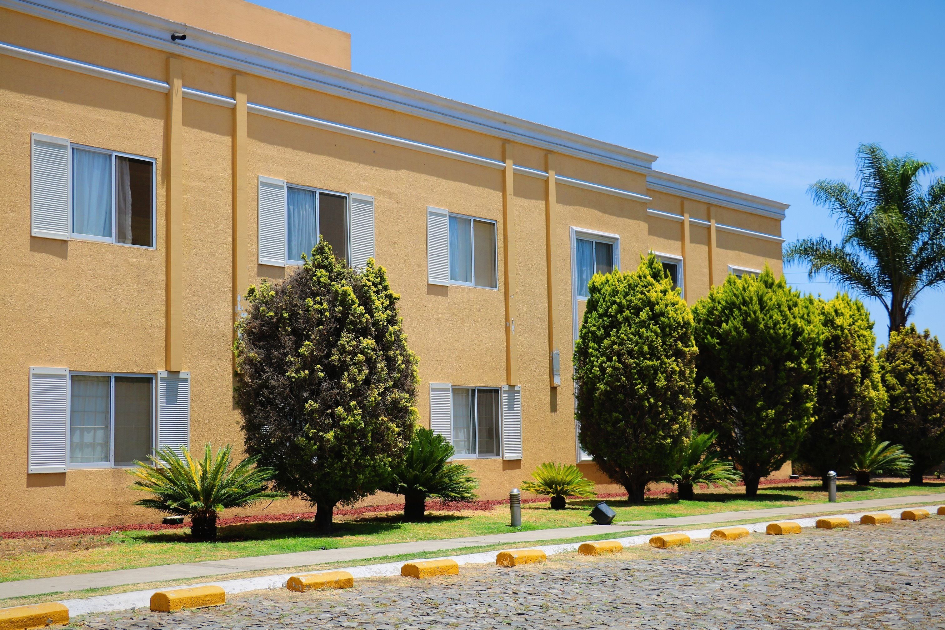 Photo - Zar Guadalajara