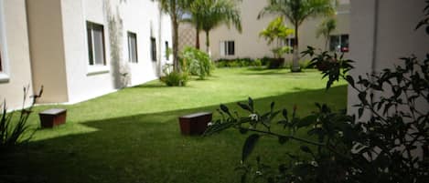 A courtyard with a well-maintained lawn, palm trees, and a building with multiple windows.