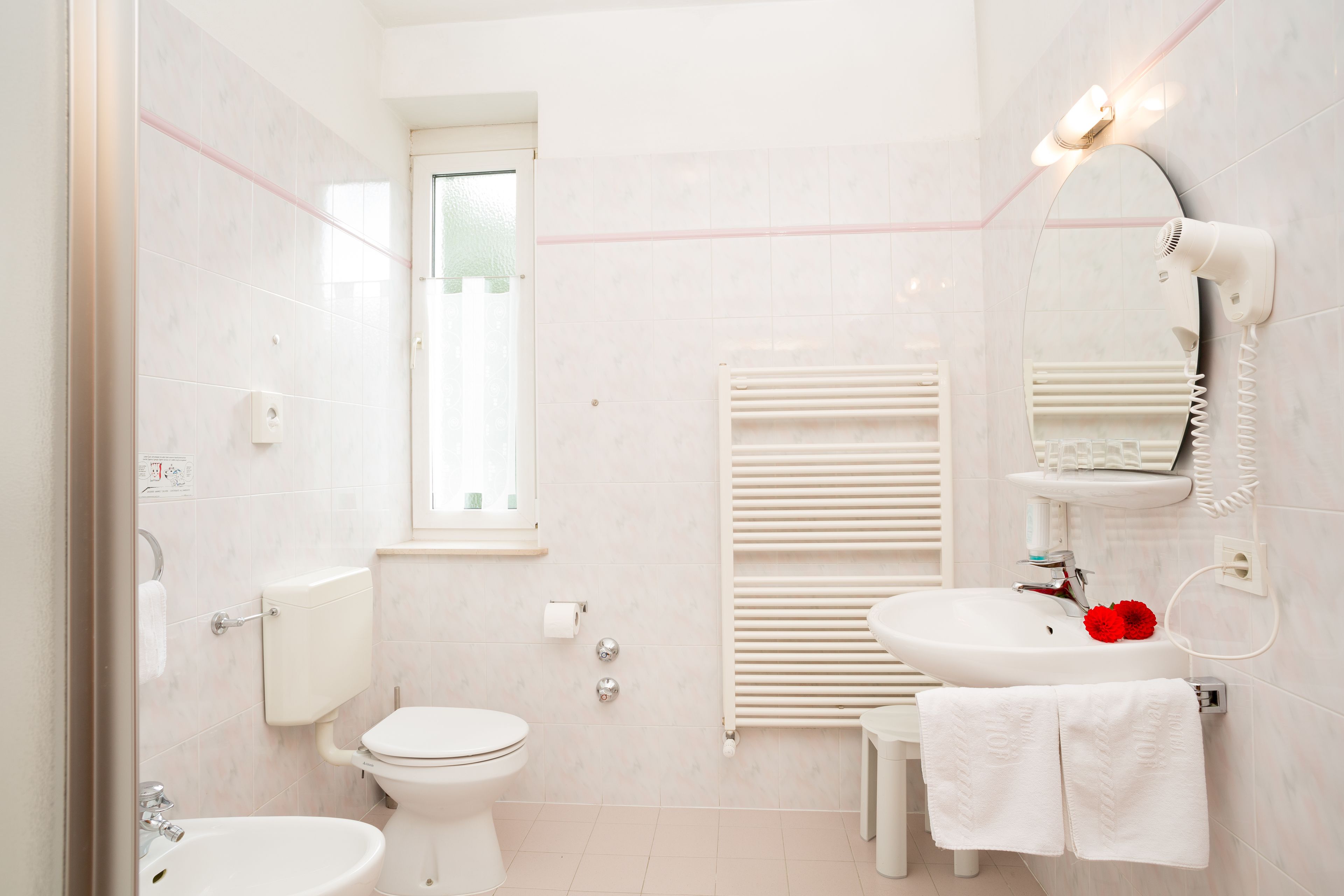 basic room | bathroom | shower, hair dryer, towels