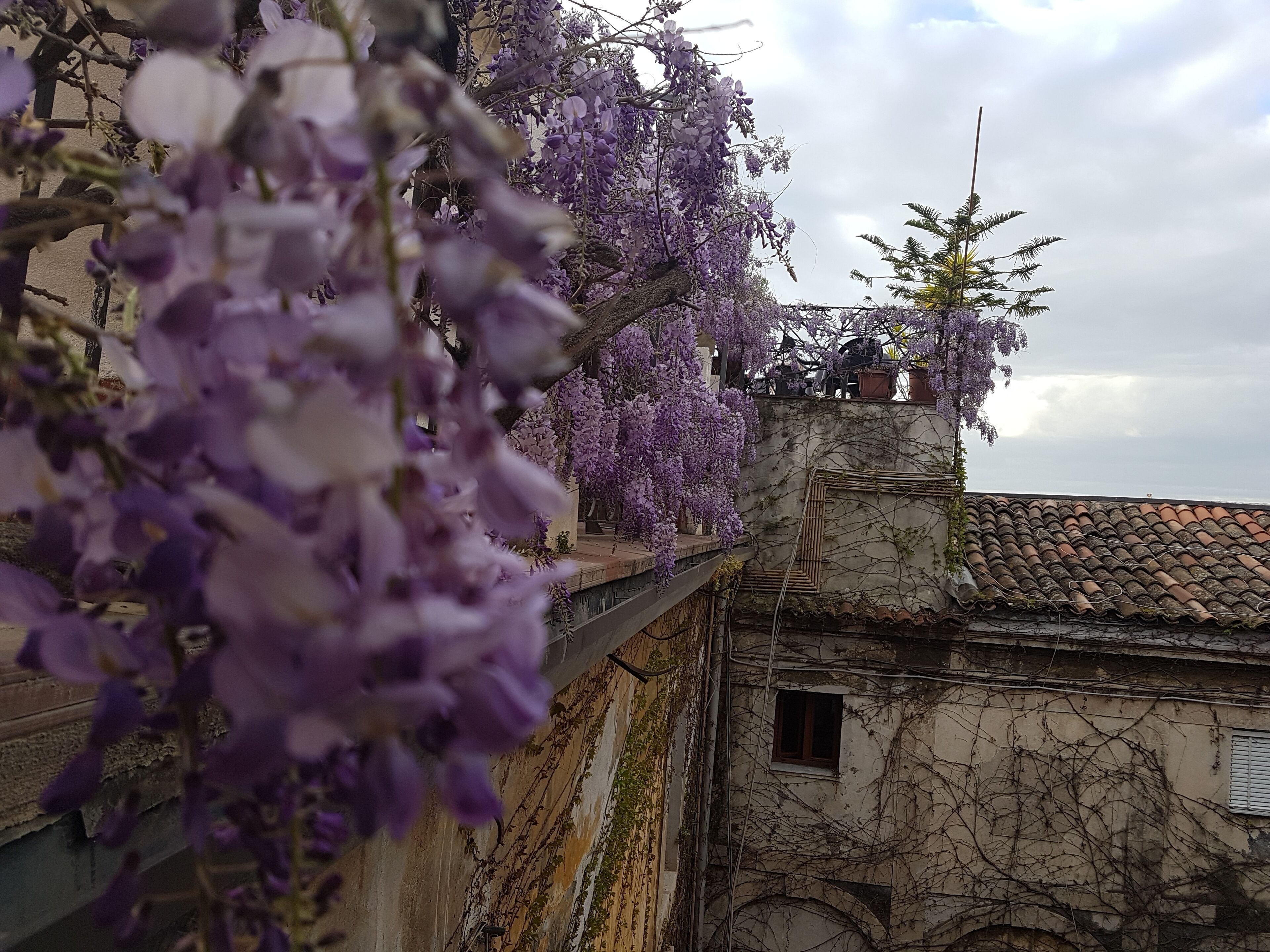 double room with external private bathroom  | garden view