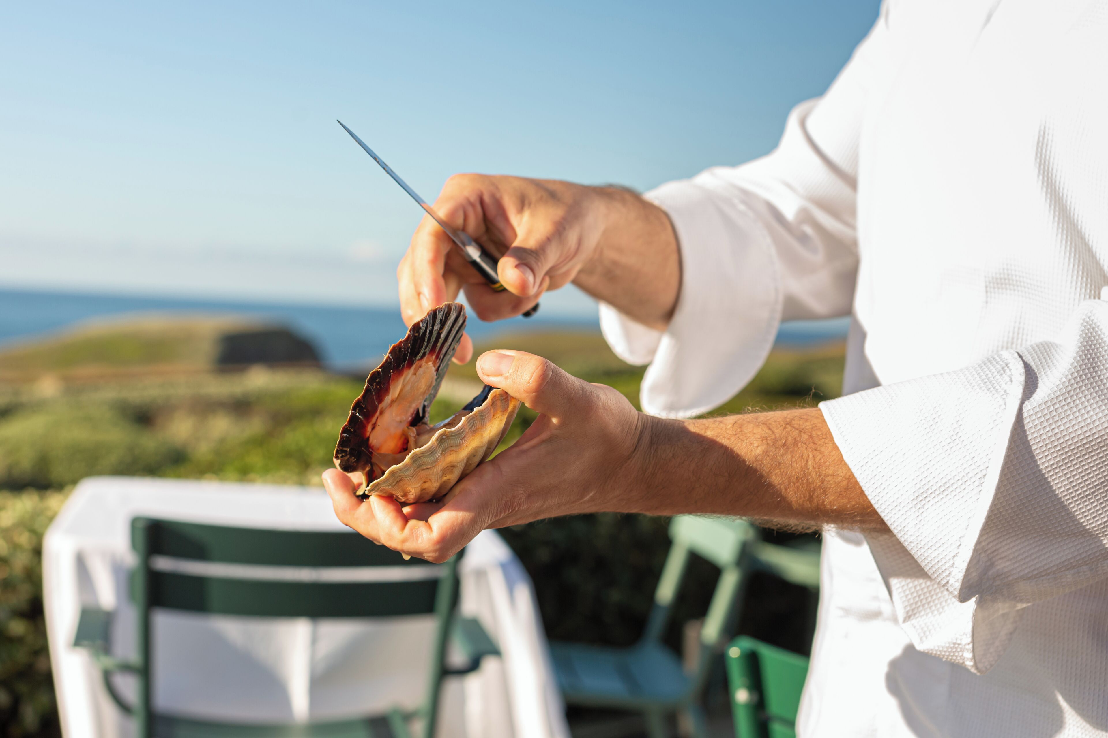 breakfast, lunch, dinner served; french cuisine, sea views