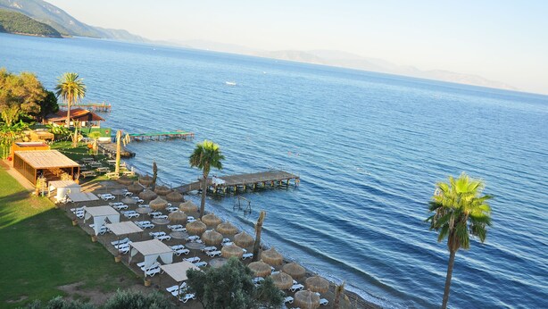 A seaside resort with a dock, lounge chairs, umbrellas, and a palm tree. - Hotel Akbulut (Kusadasi)