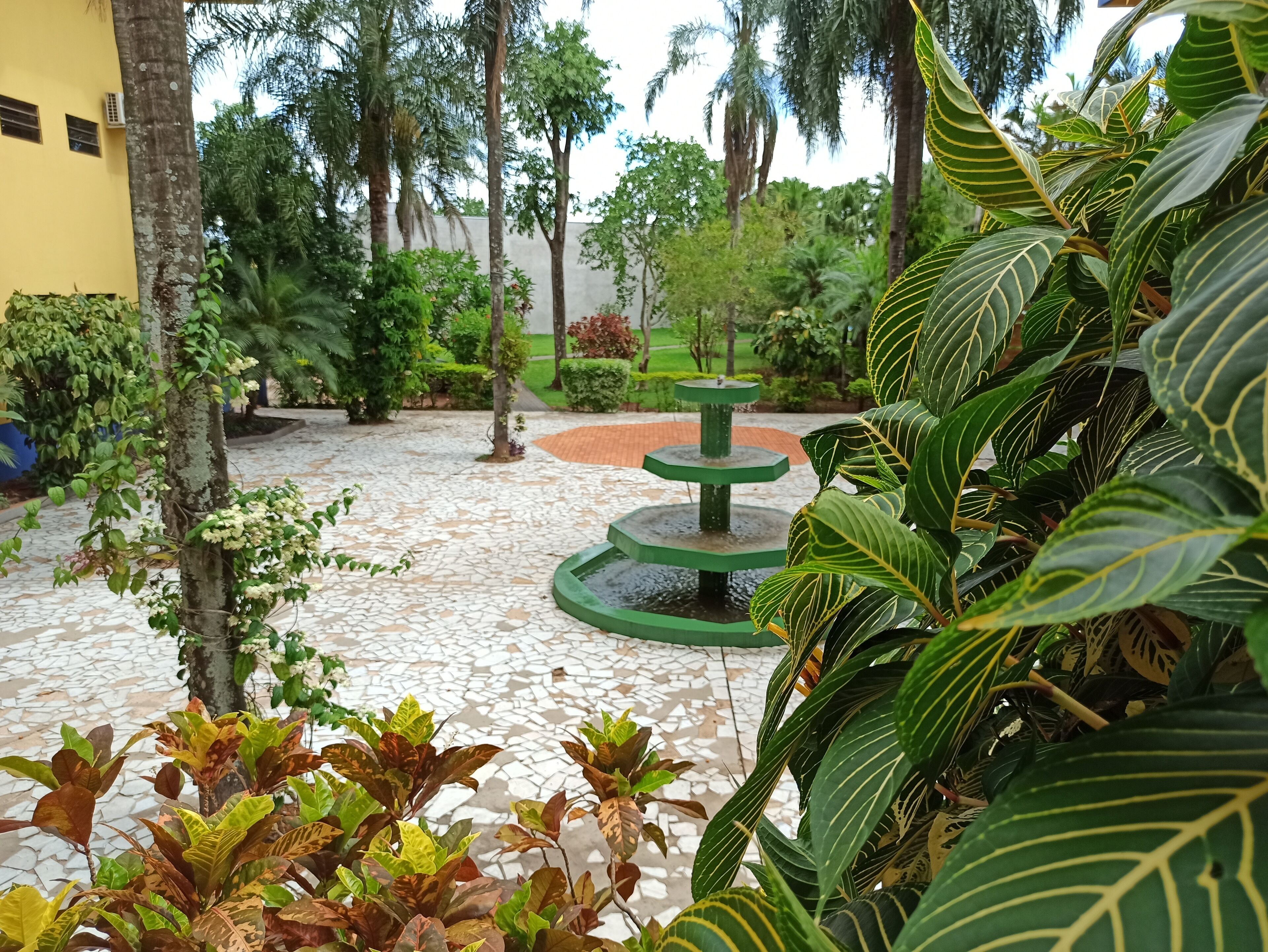 garden