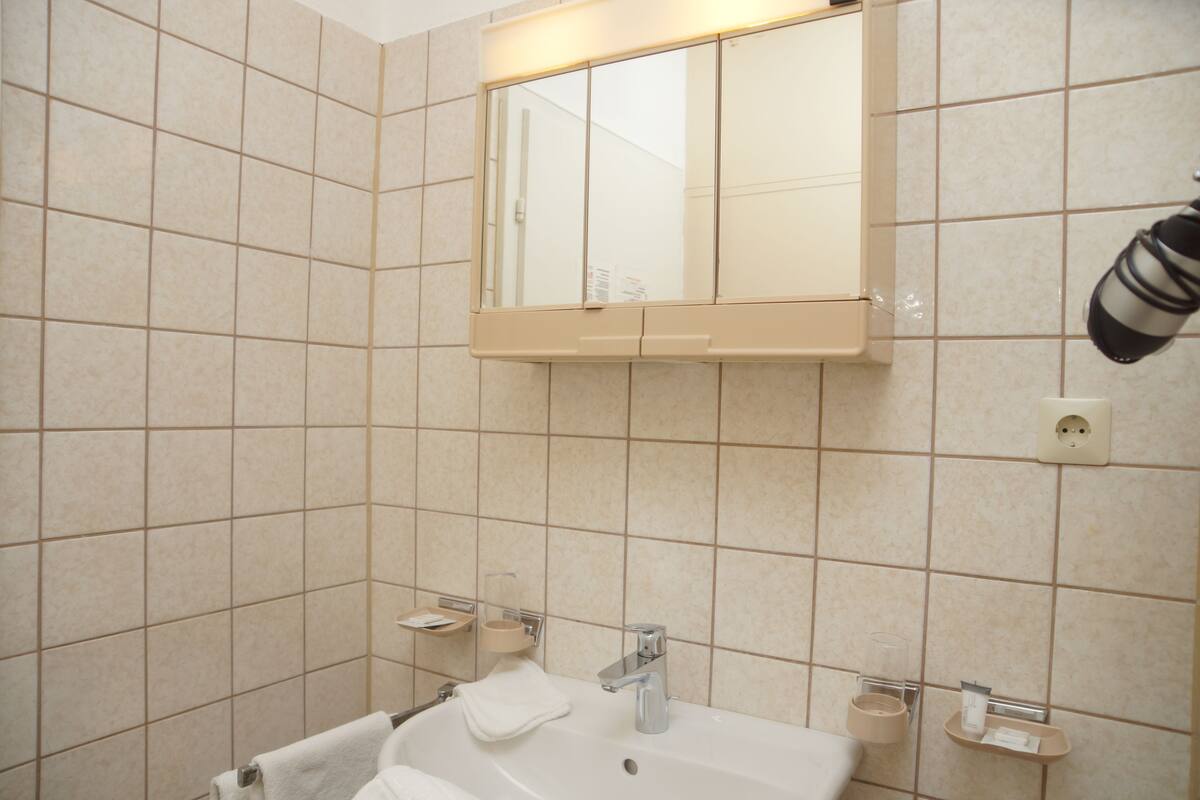 shower, free toiletries, hair dryer, towels