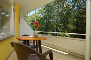 32-吋平面電視、有線頻道、電視