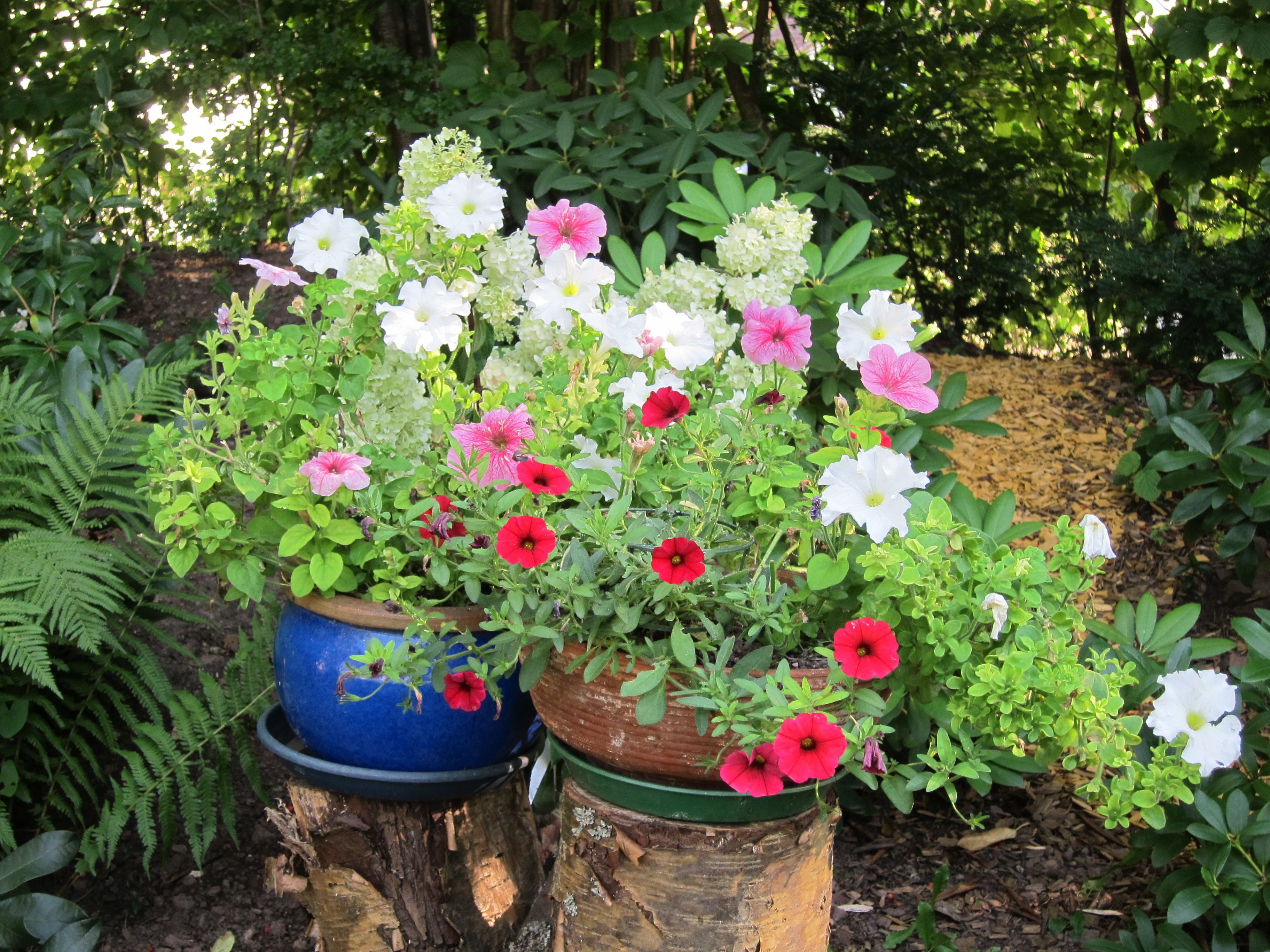 花園