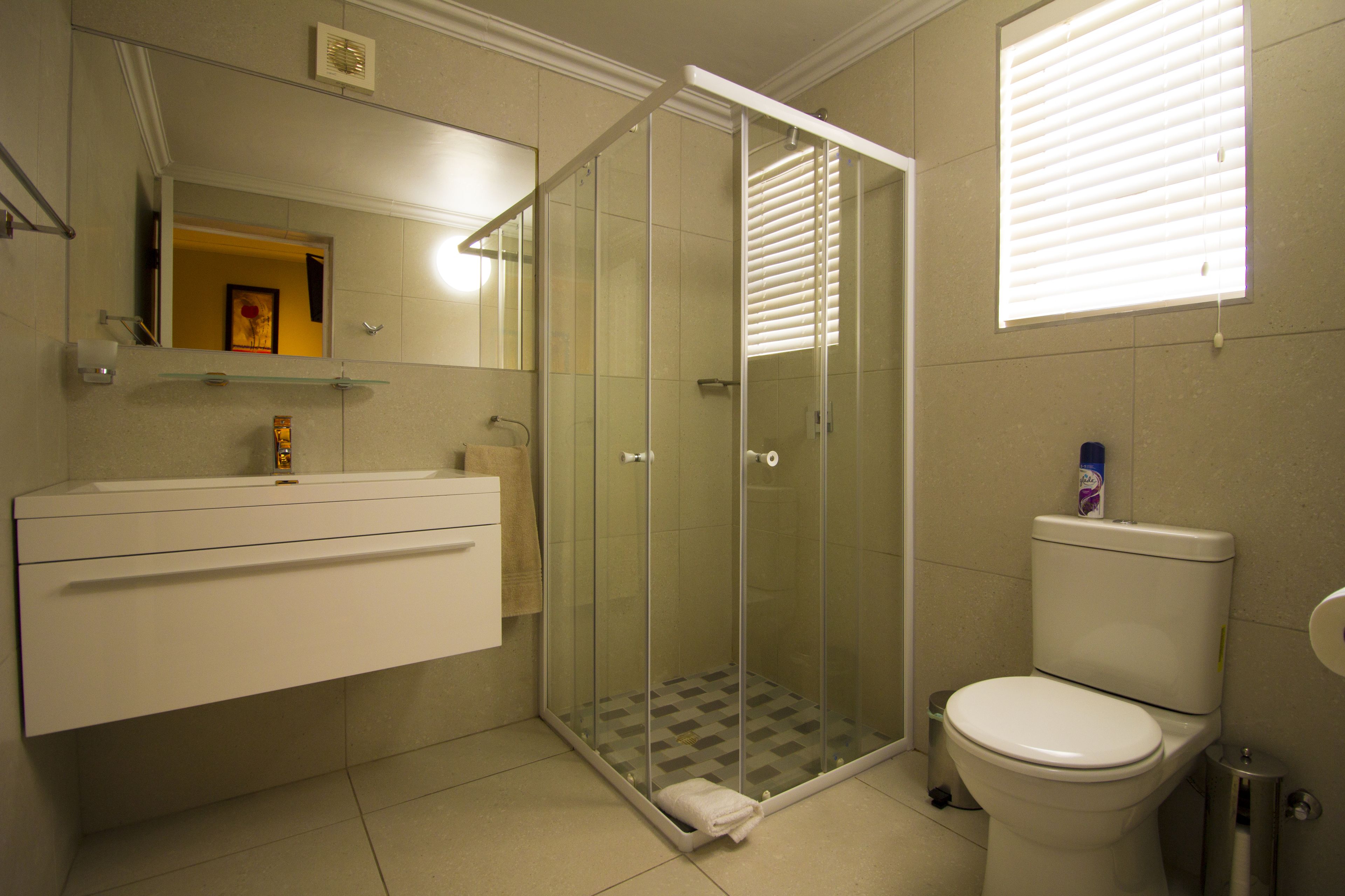 Een badkamer met een douche met glazen wand, een toilet en een wastafel met spiegel.