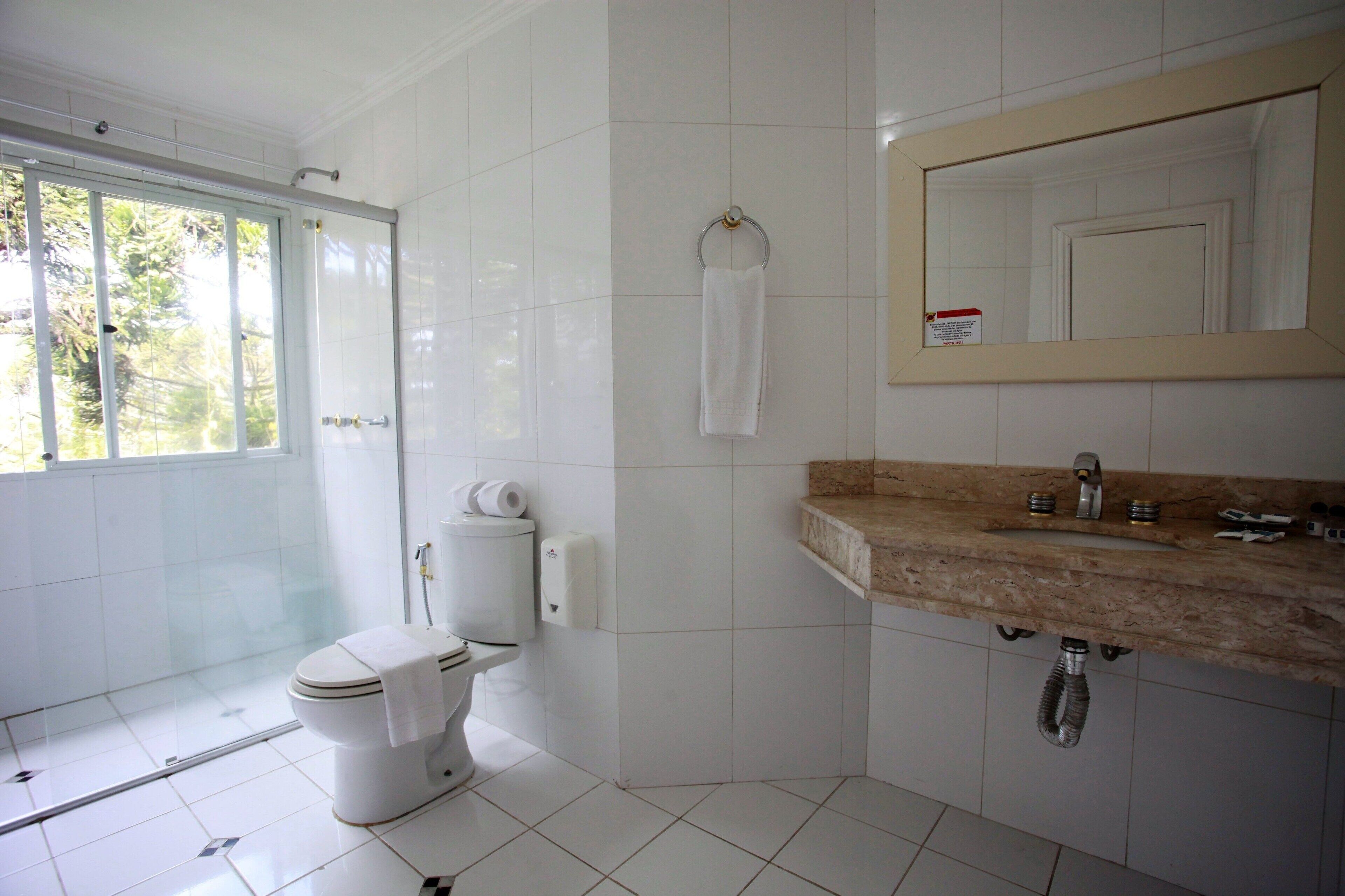 A bathroom with a toilet, a shower, a sink, and a mirror.