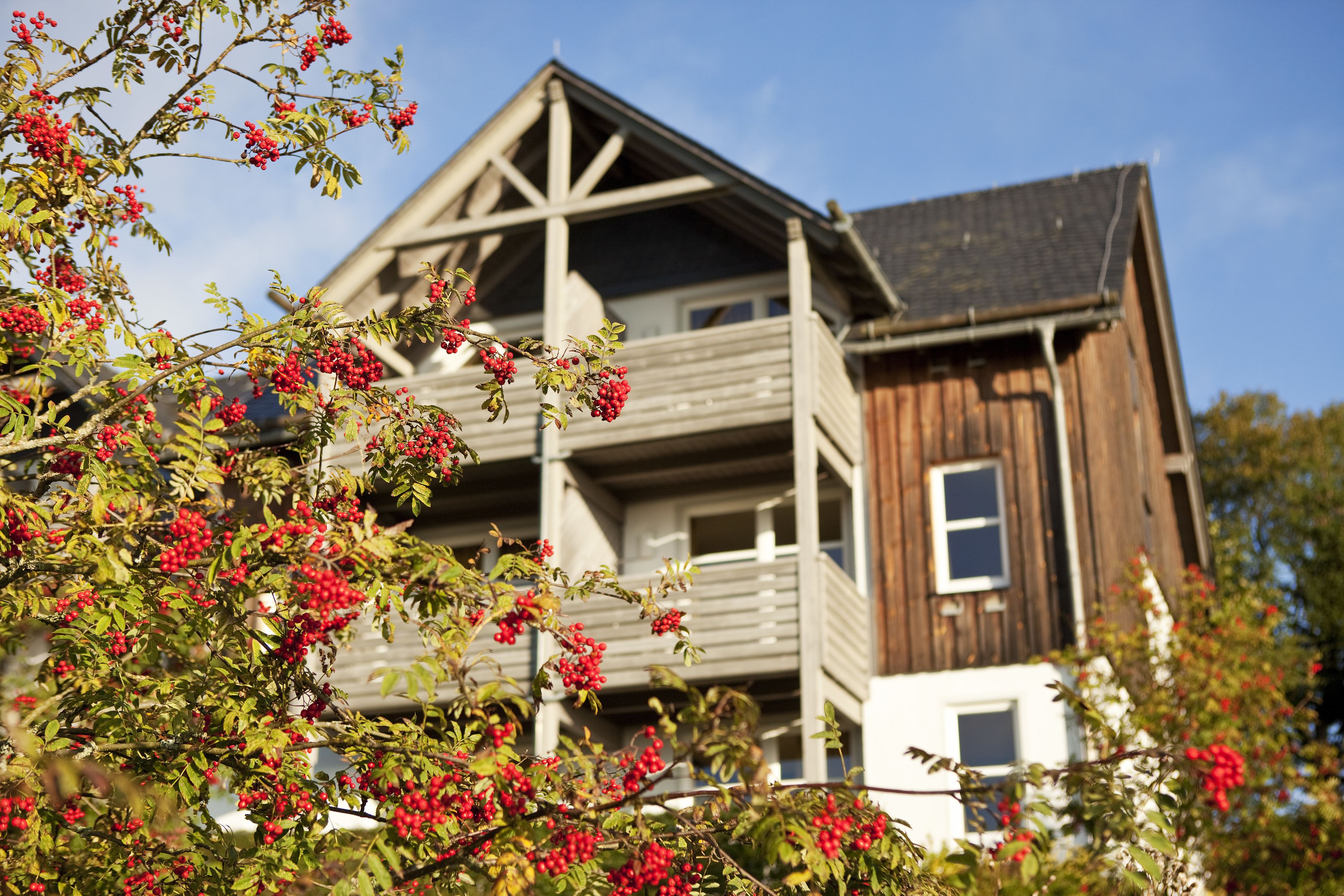 A wooden house with a balcony and a tree with red berries in the foreground.
