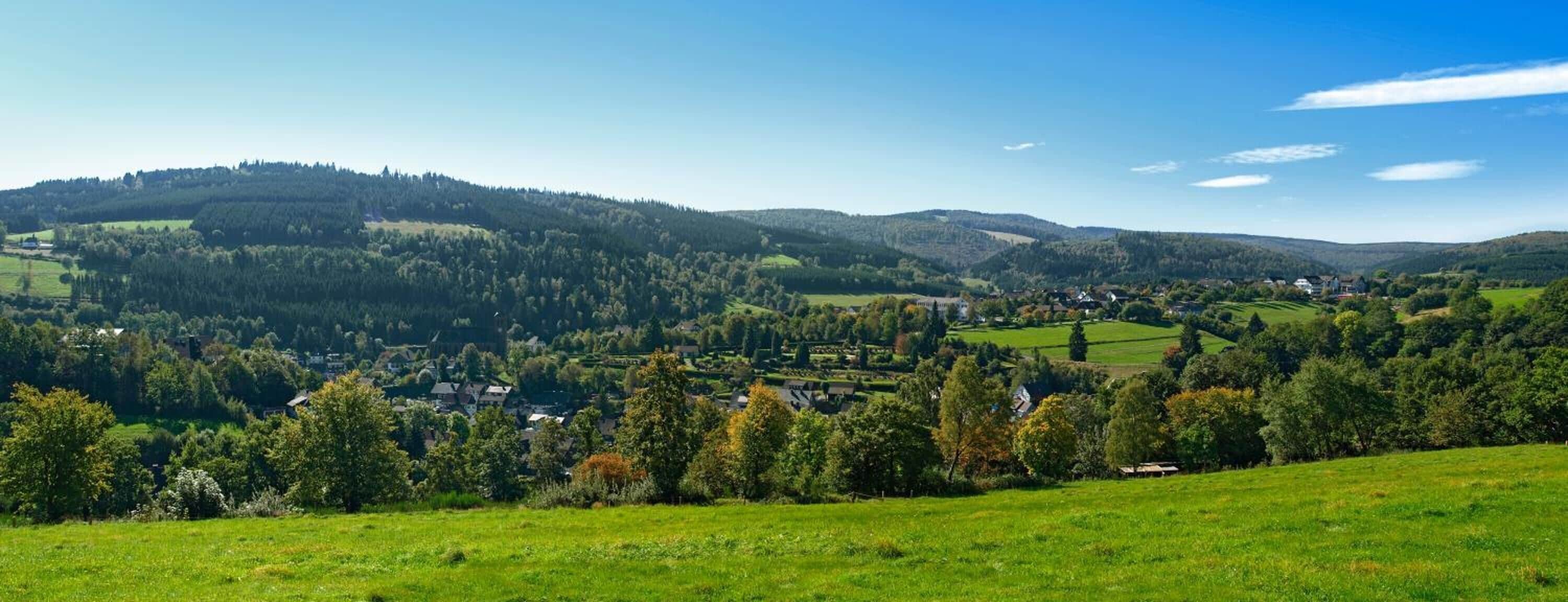 A rural landscape with rolling hills, a small village, and scattered trees.