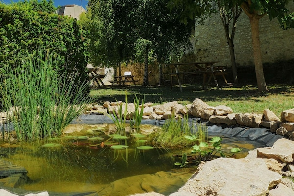BBQ/picnic area