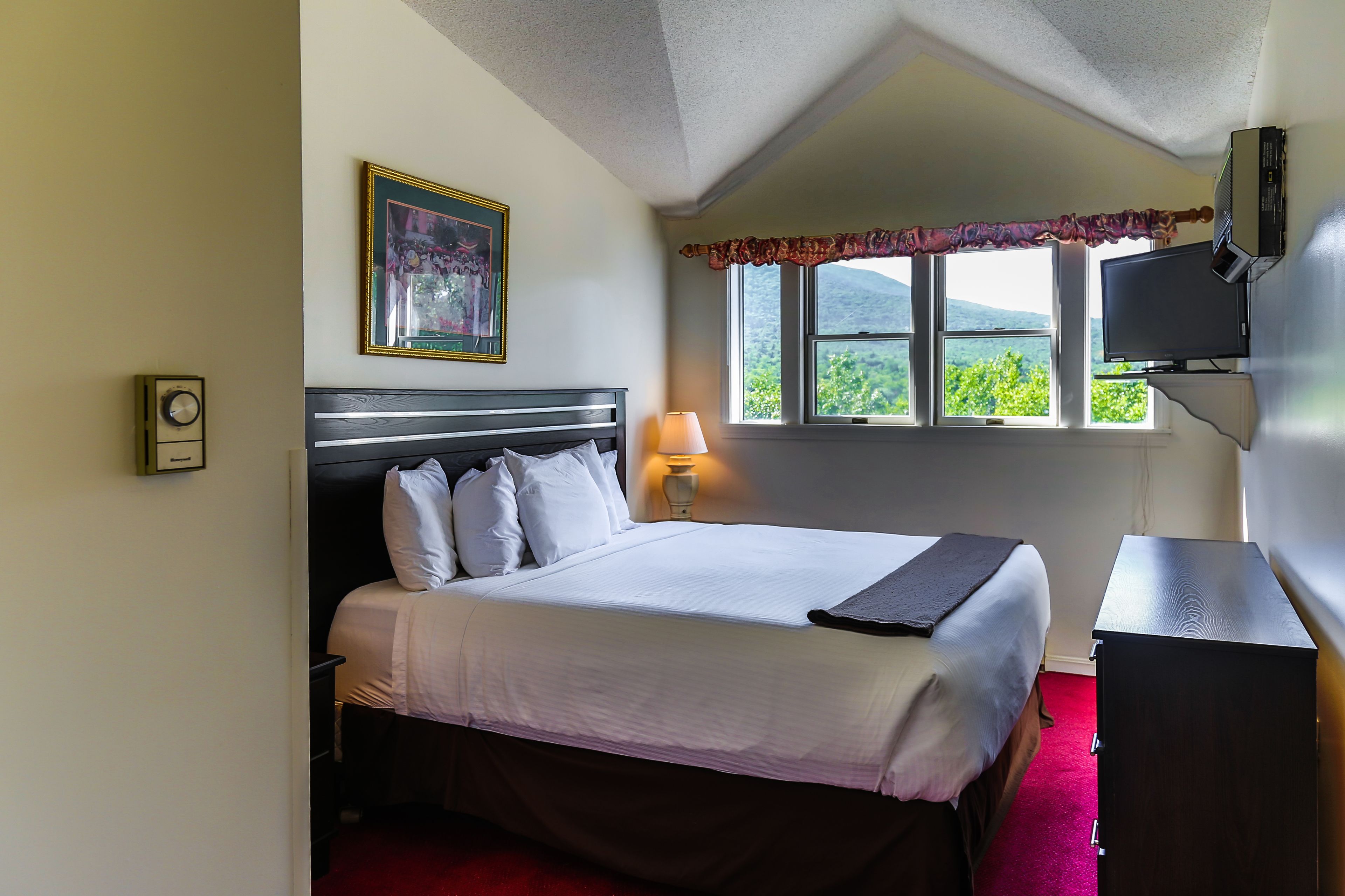 A hotel room with a bed, a desk, a lamp, a TV, a window with a view, and a framed picture on the wall.
