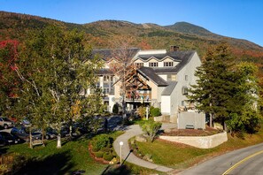 A large building with multiple stories, a driveway, and a parking area.