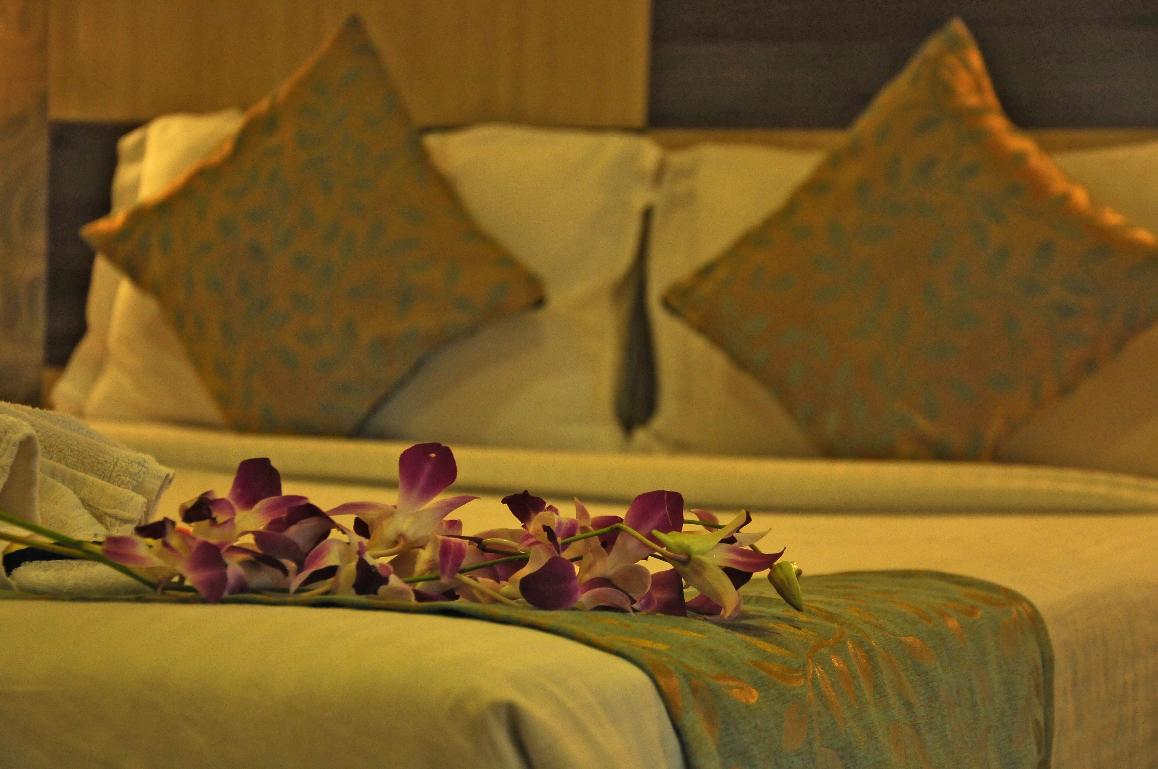 Foto - Hotel Madhav International