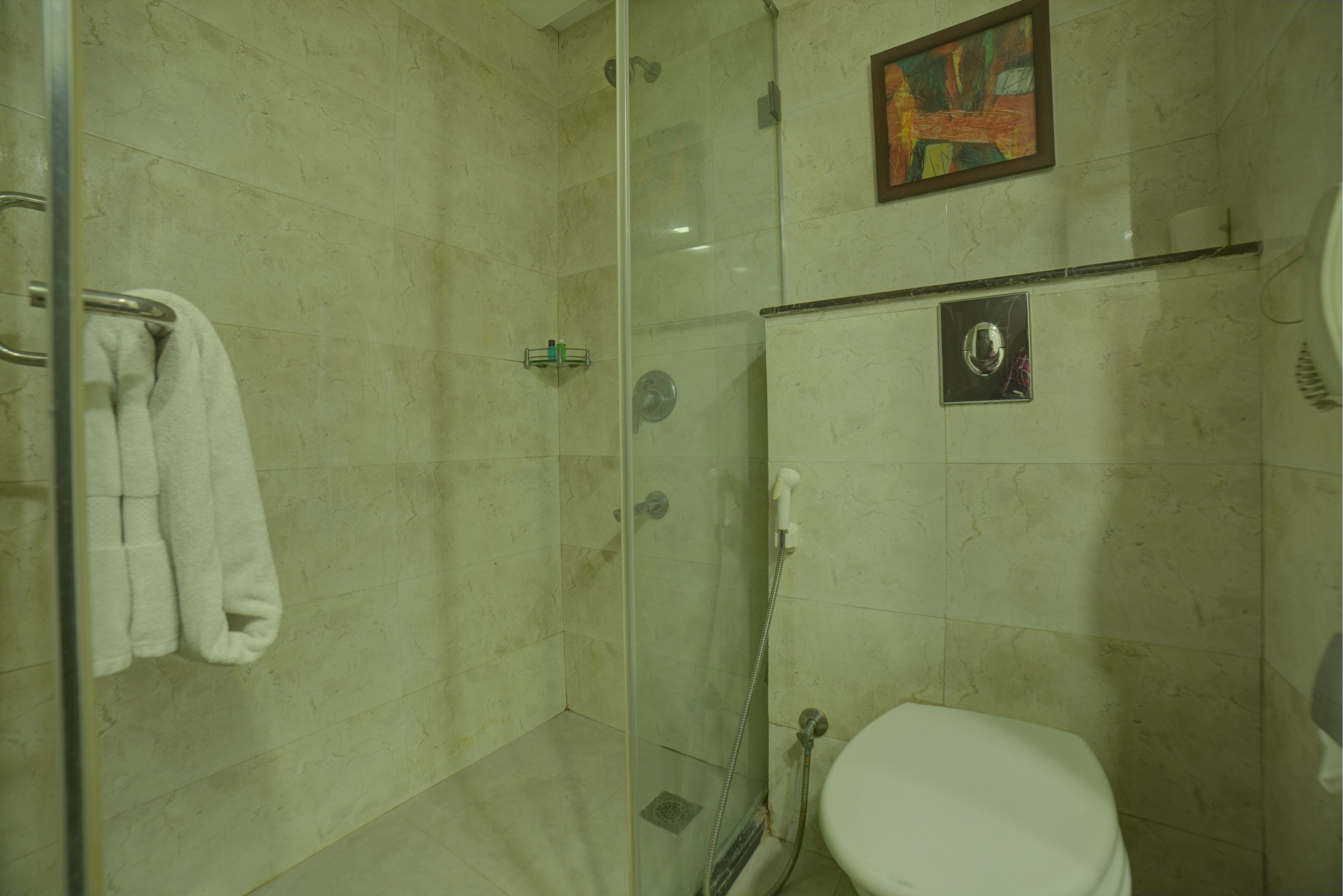 Photo - Goldfinch Hotel Delhi NCR