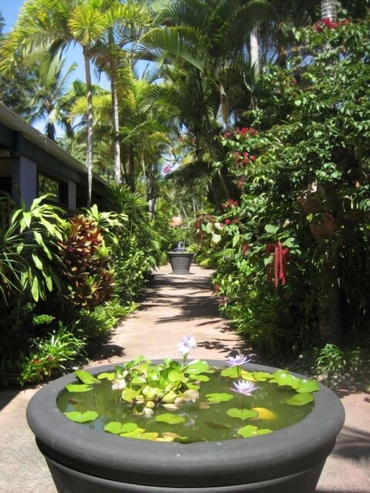 Pink Flamingo Resort by null