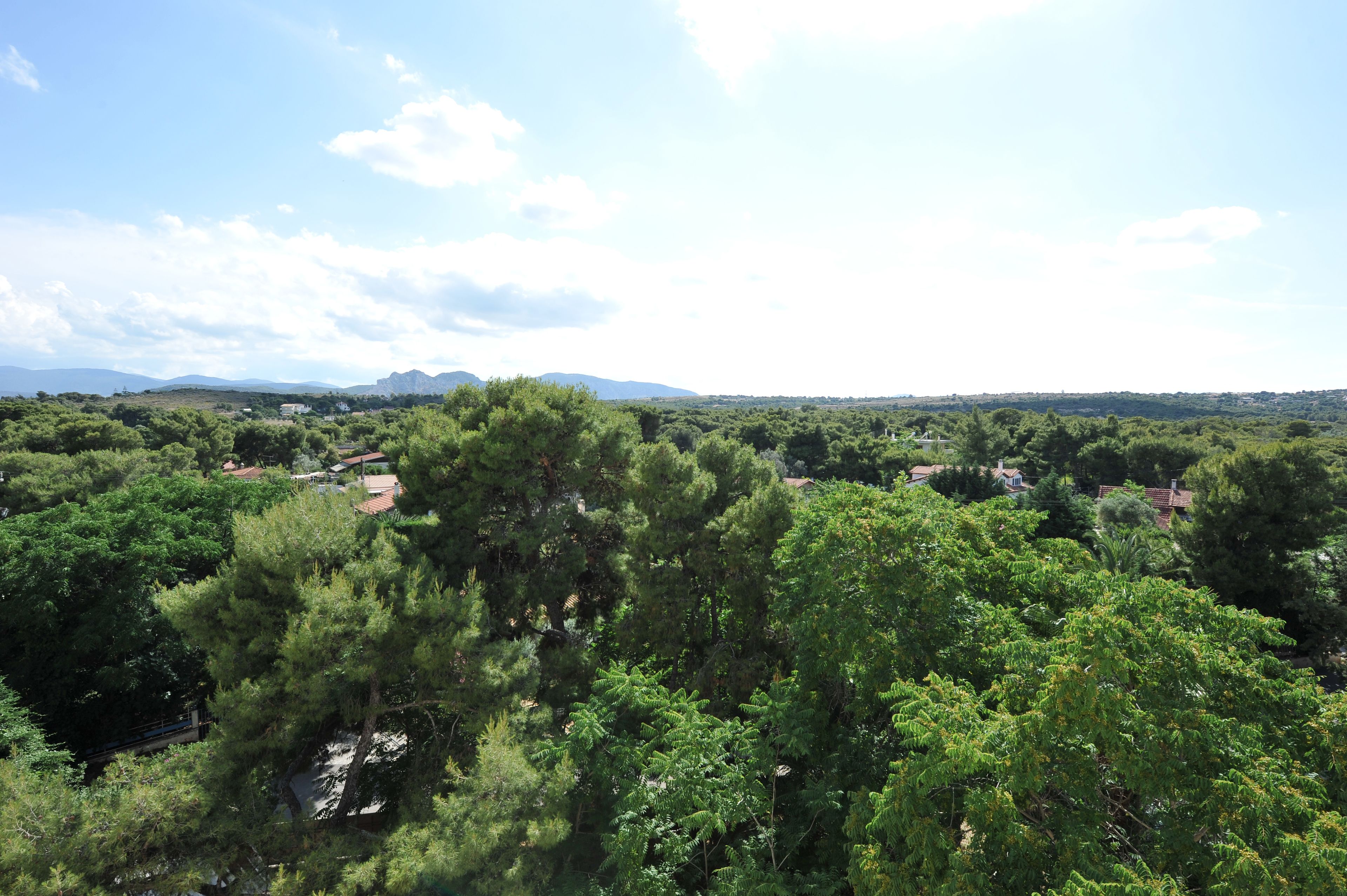 A lush landscape with dense greenery and scattered buildings.