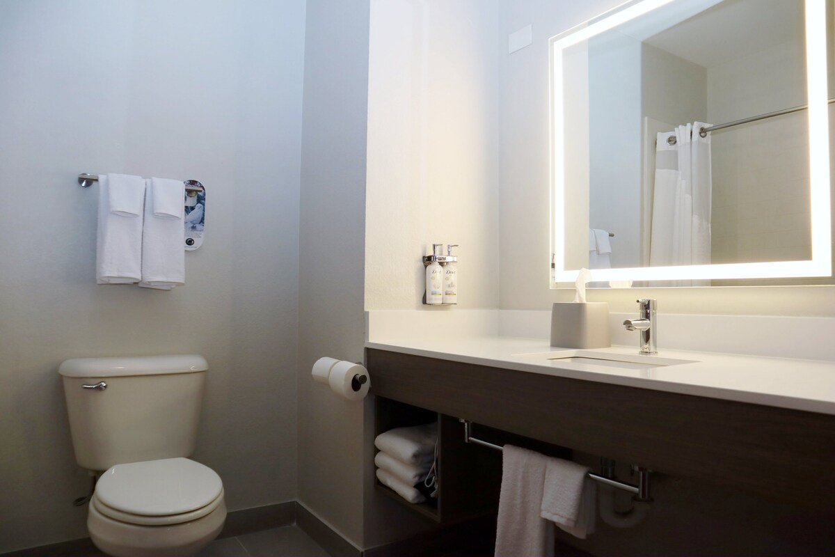 Et badeværelse med toilet, vask med spejl og håndklædestang.