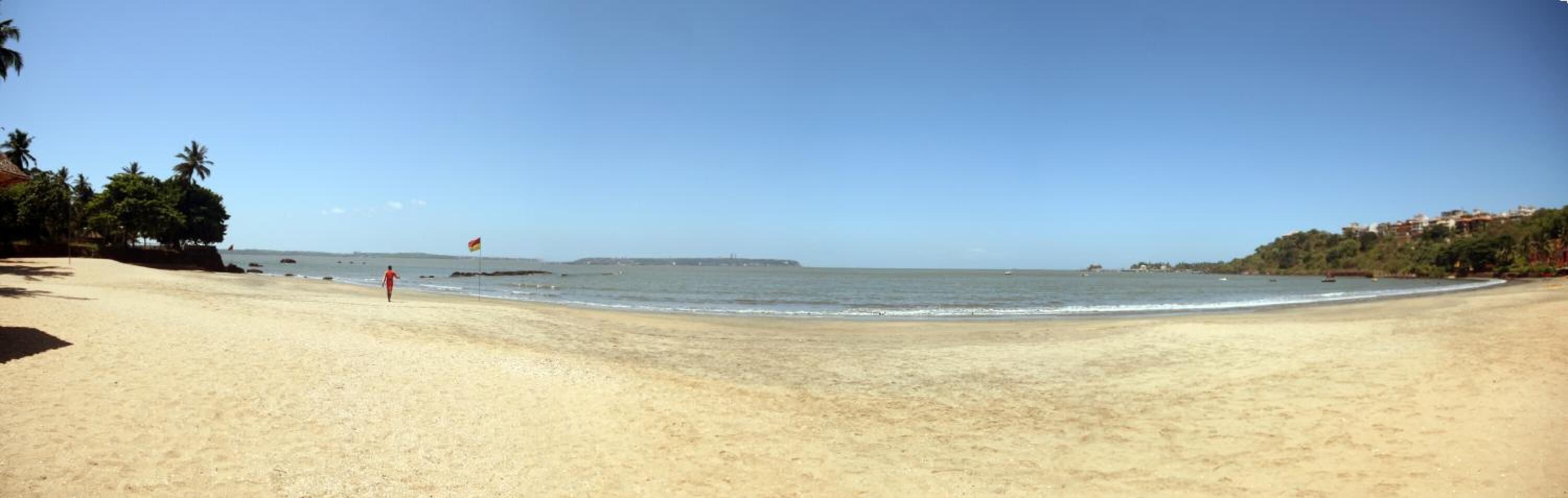 A wide sandy beach with gentle waves, palm trees, and a clear sky.