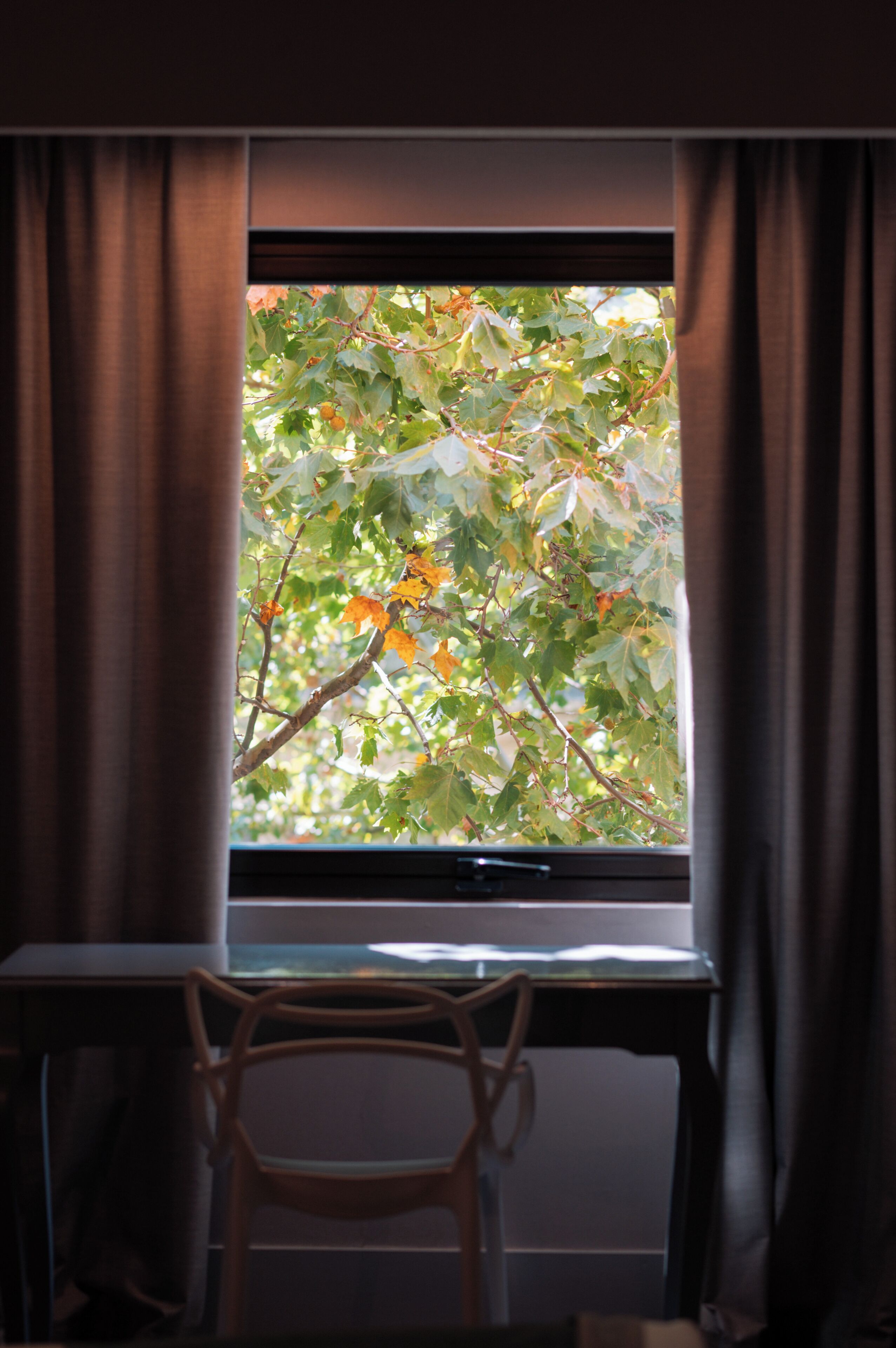 A window with curtains, a wooden chair, and a view of a tree with green and orange leaves.