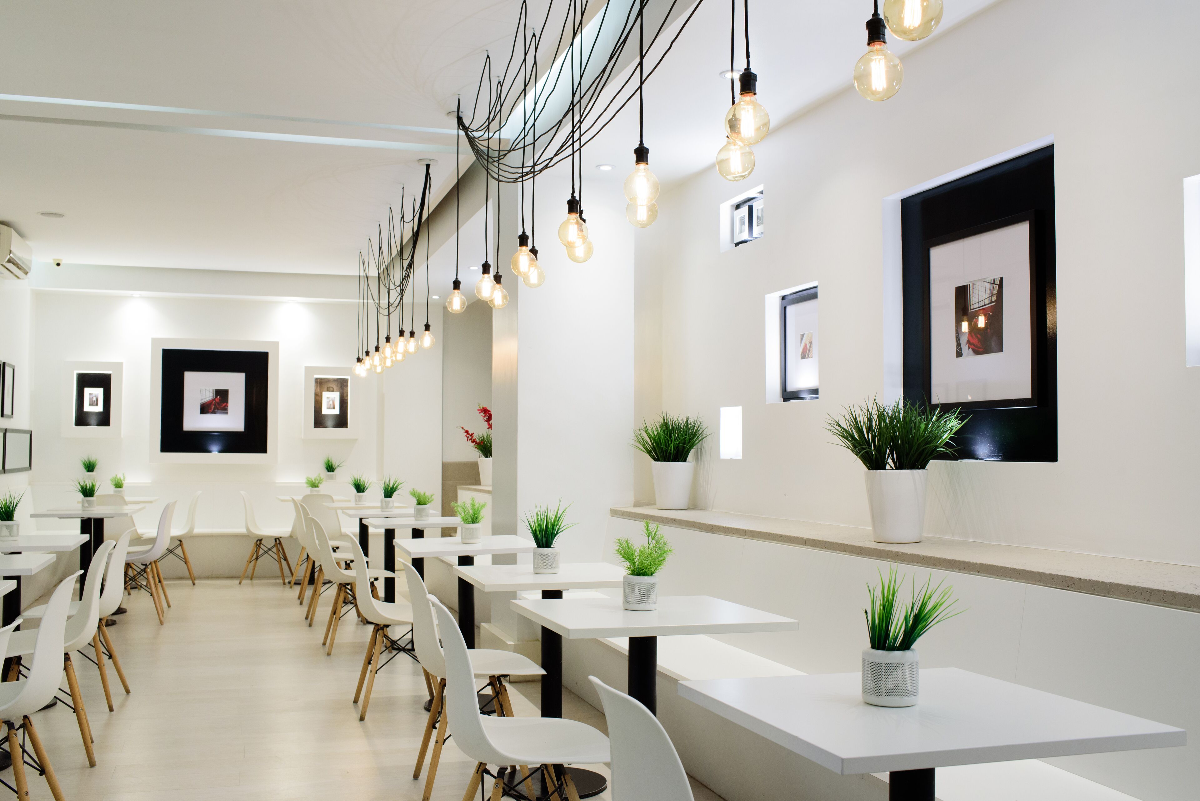 Daily continental breakfast (USD 8 per person)