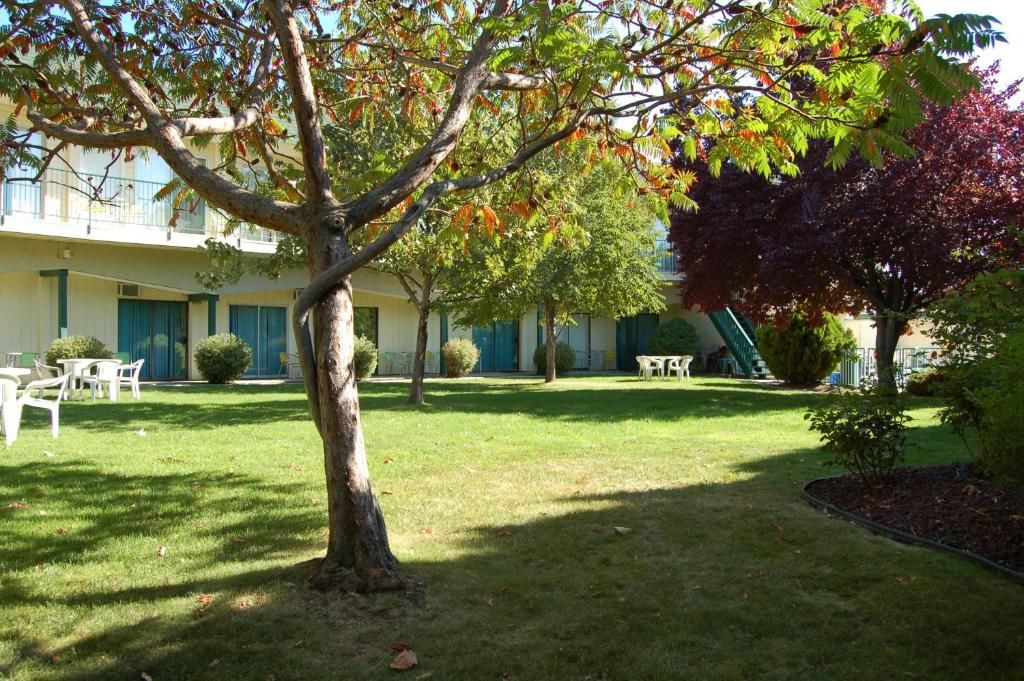 A courtyard with a tree, a building with balconies, and outdoor furniture.