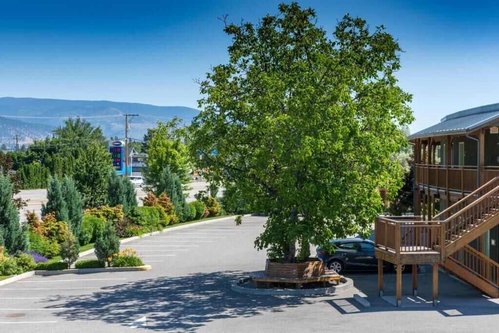 A parking area with a large tree, a building with a wooden staircase, and a clear view of distant mountains.