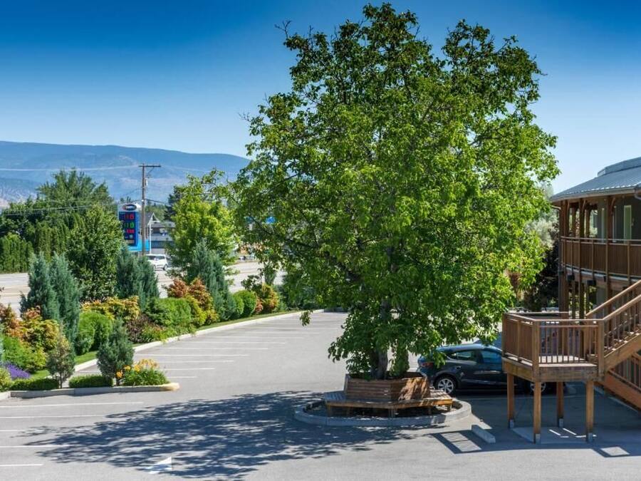 A parking area with a large tree, a building with a wooden staircase, and a clear view of distant mountains.