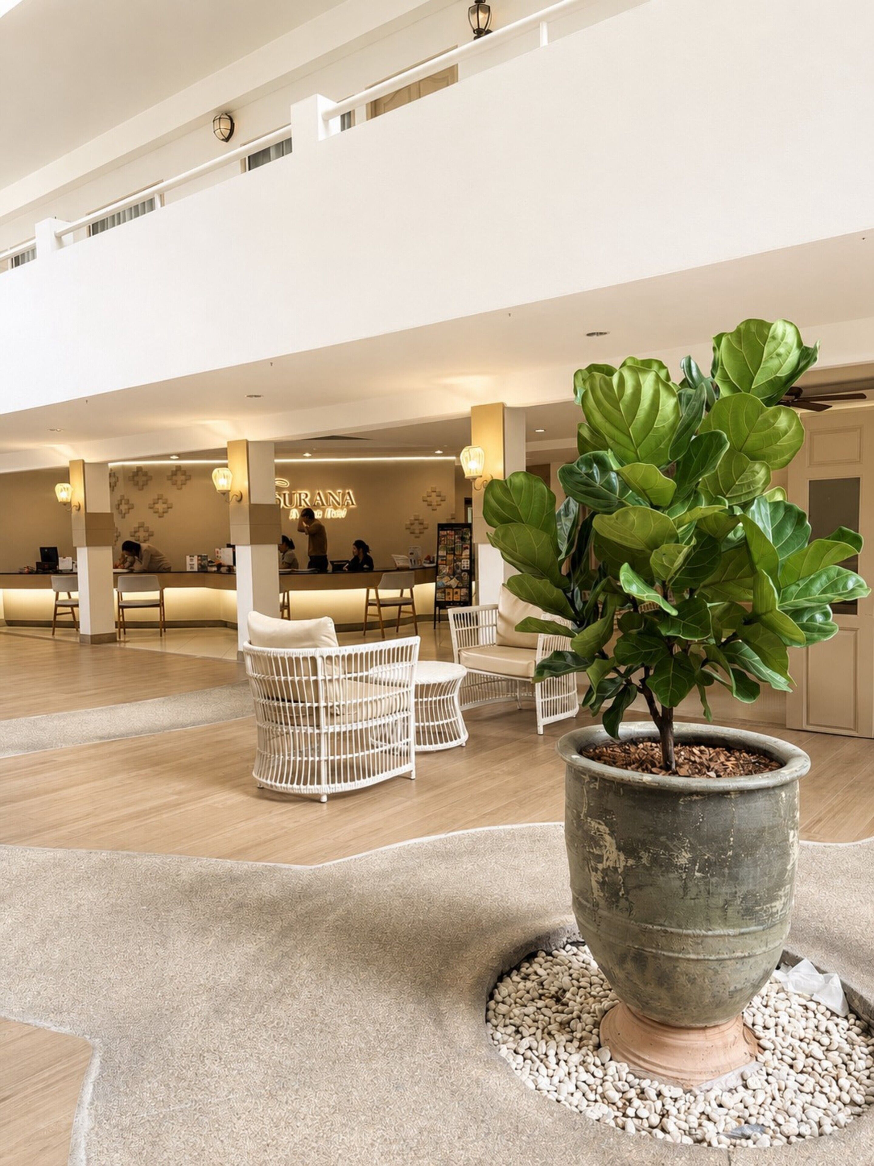 A lobby with a reception desk, seating area, and a large potted plant.
