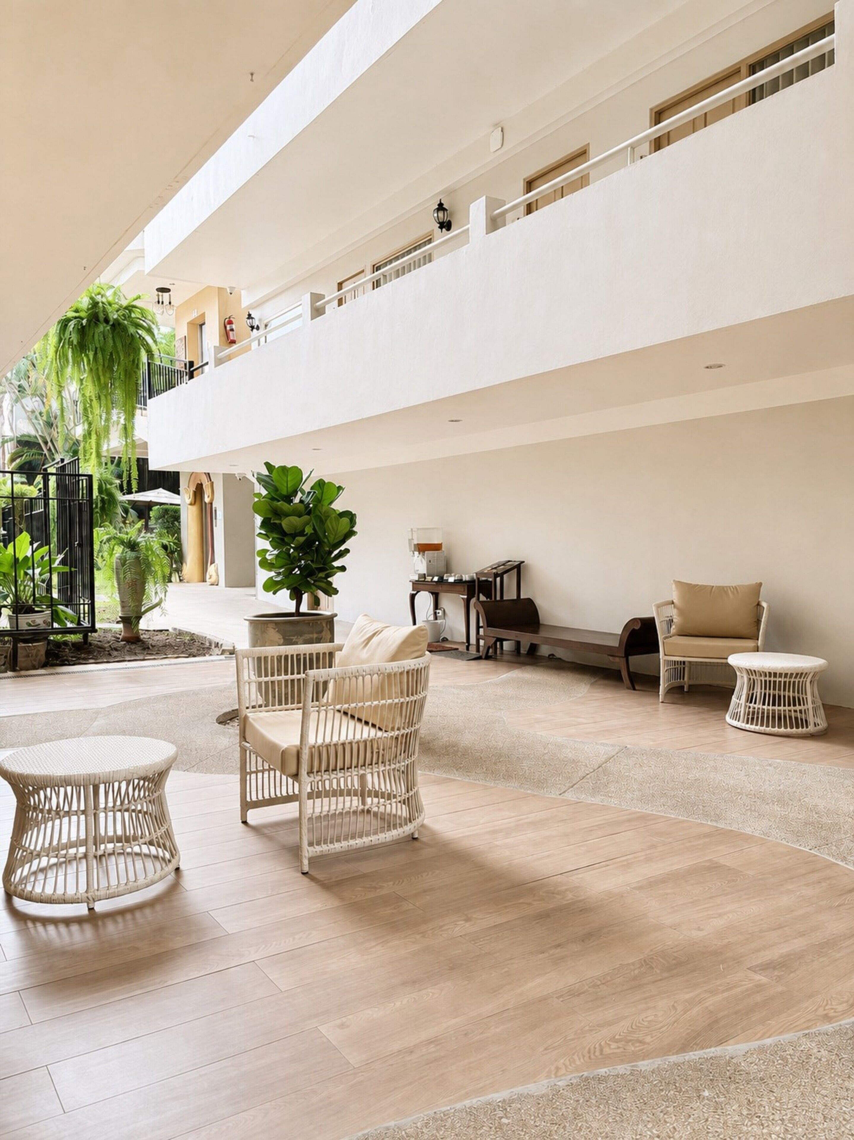 Un espace intérieur vaste et lumineux, doté d’un plafond haut, aménagé avec des meubles en osier, une plante en pot et une petite table.