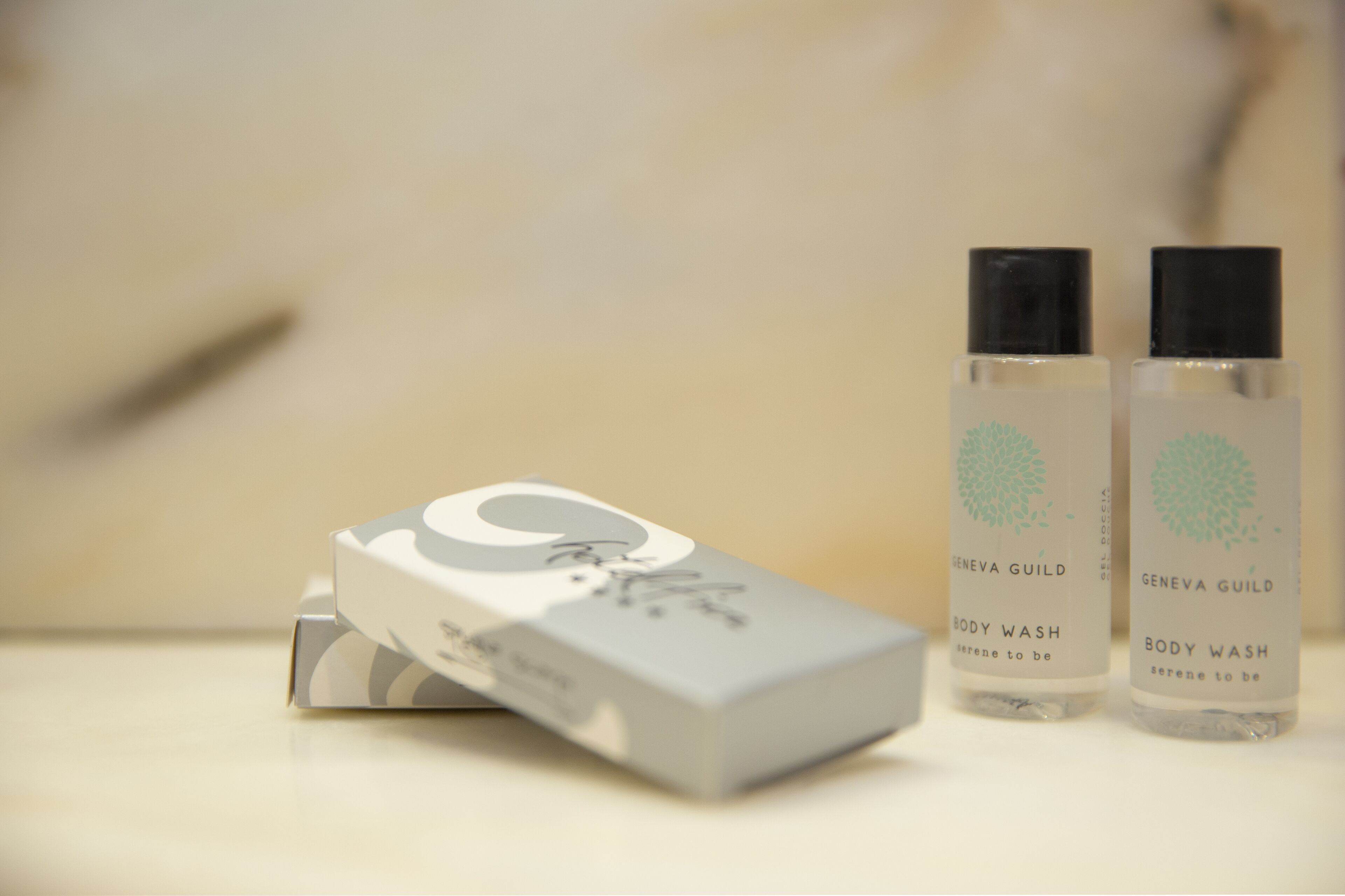 hair dryer, slippers, bidet