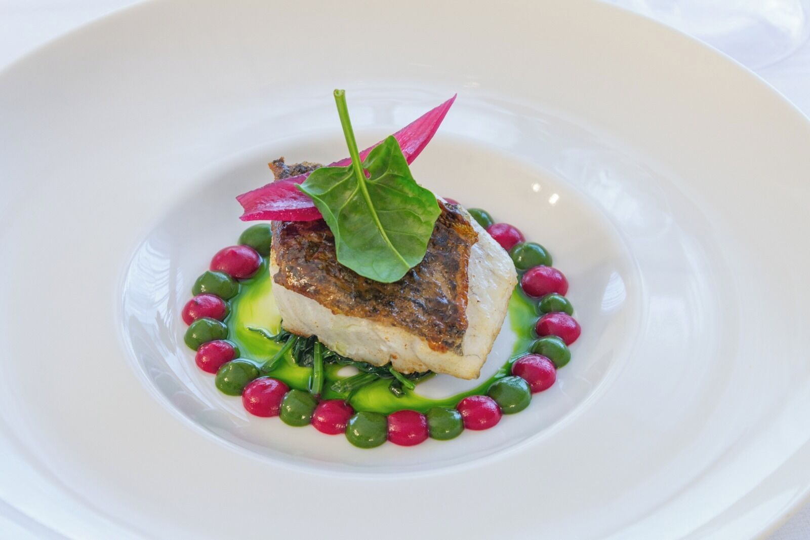 A white plate with a piece of fish, green sauce, and red berries.