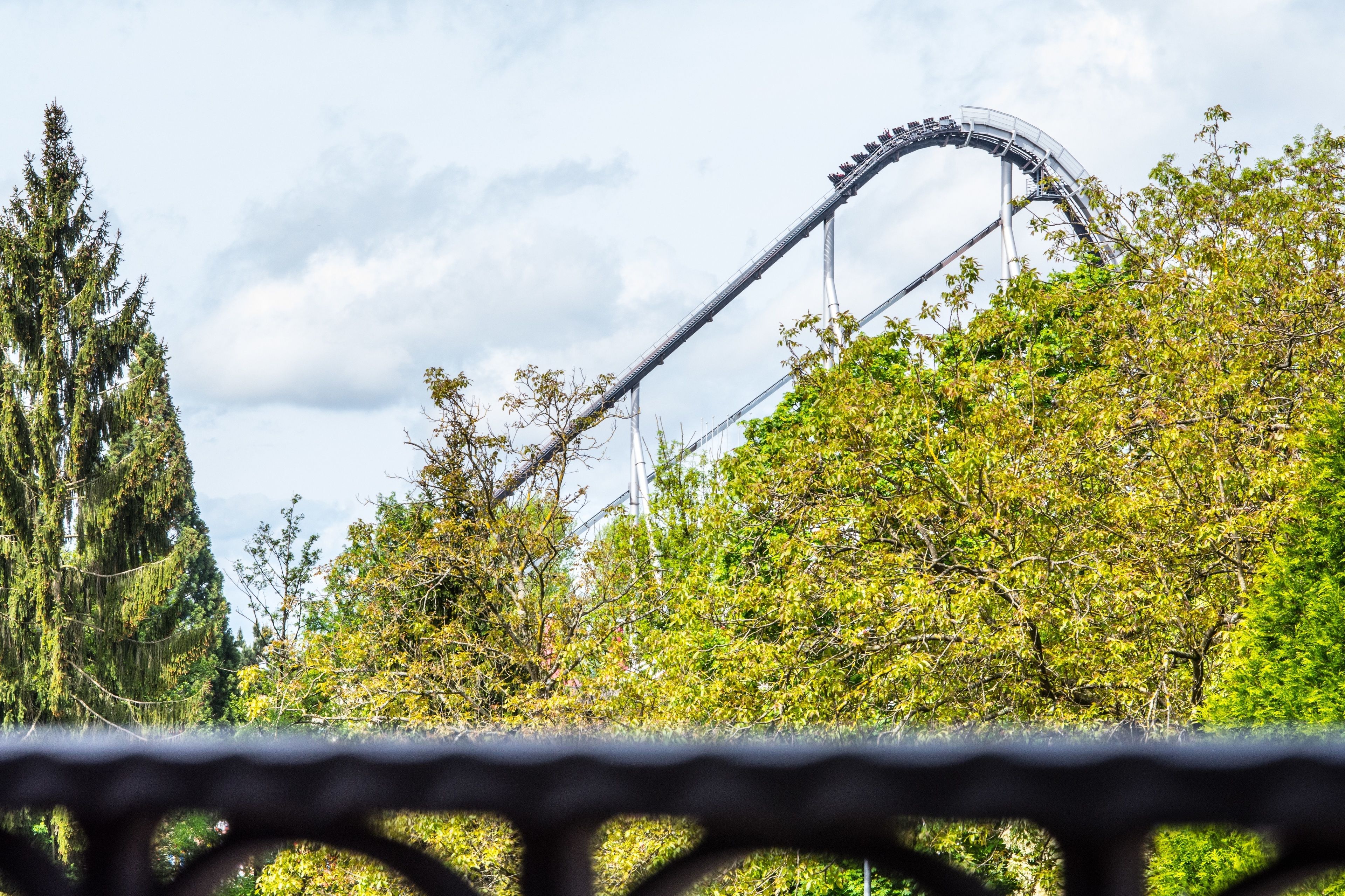 Photo - Hotel Casa Rustica - Eintrittskarten für den Europapark erhalten Sie garantiert über uns!