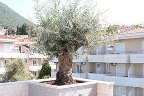 Solterrasse