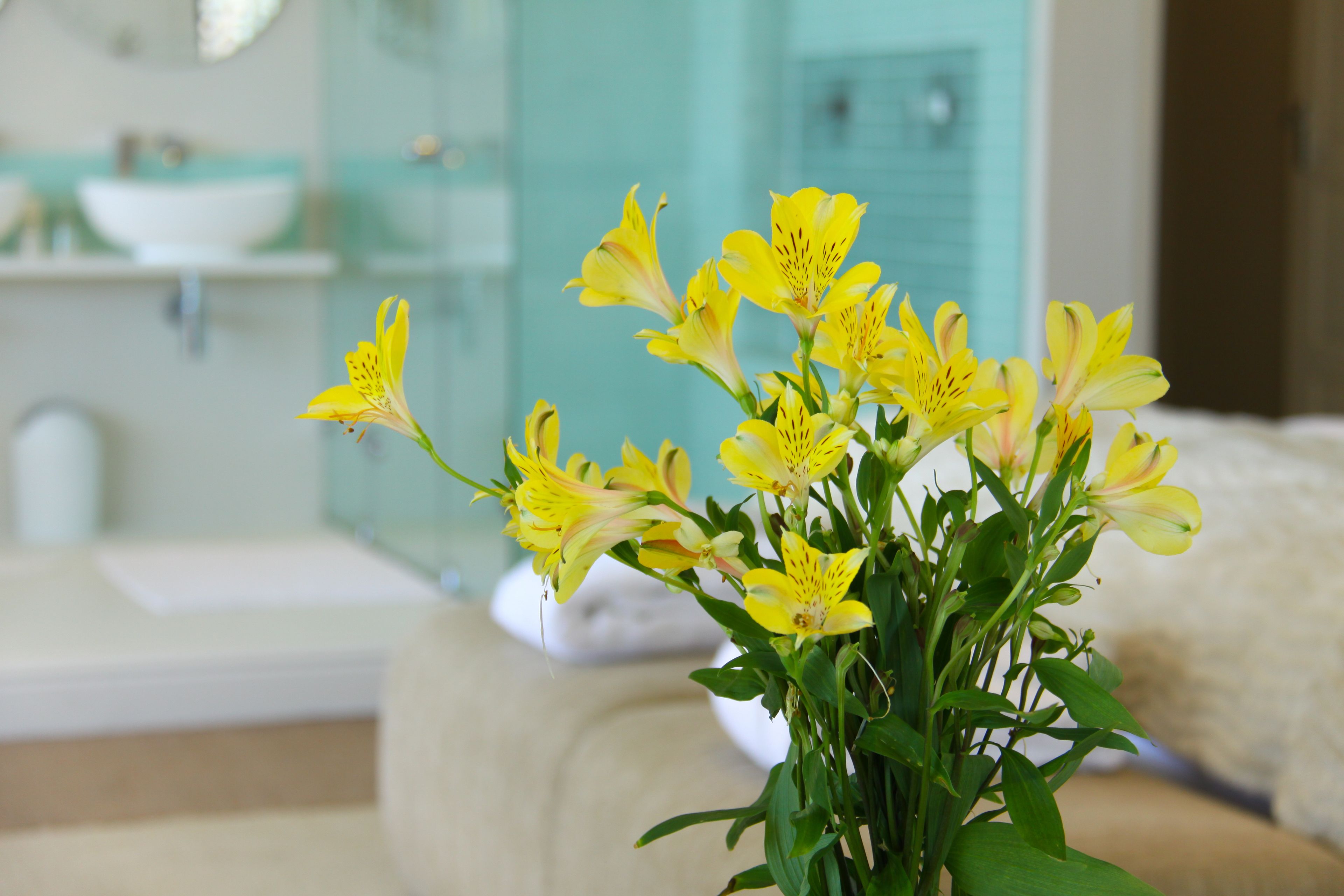 Foto - 3 On Camps Bay