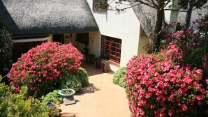 Property grounds - Thatchings Guest House (Curry's Post)