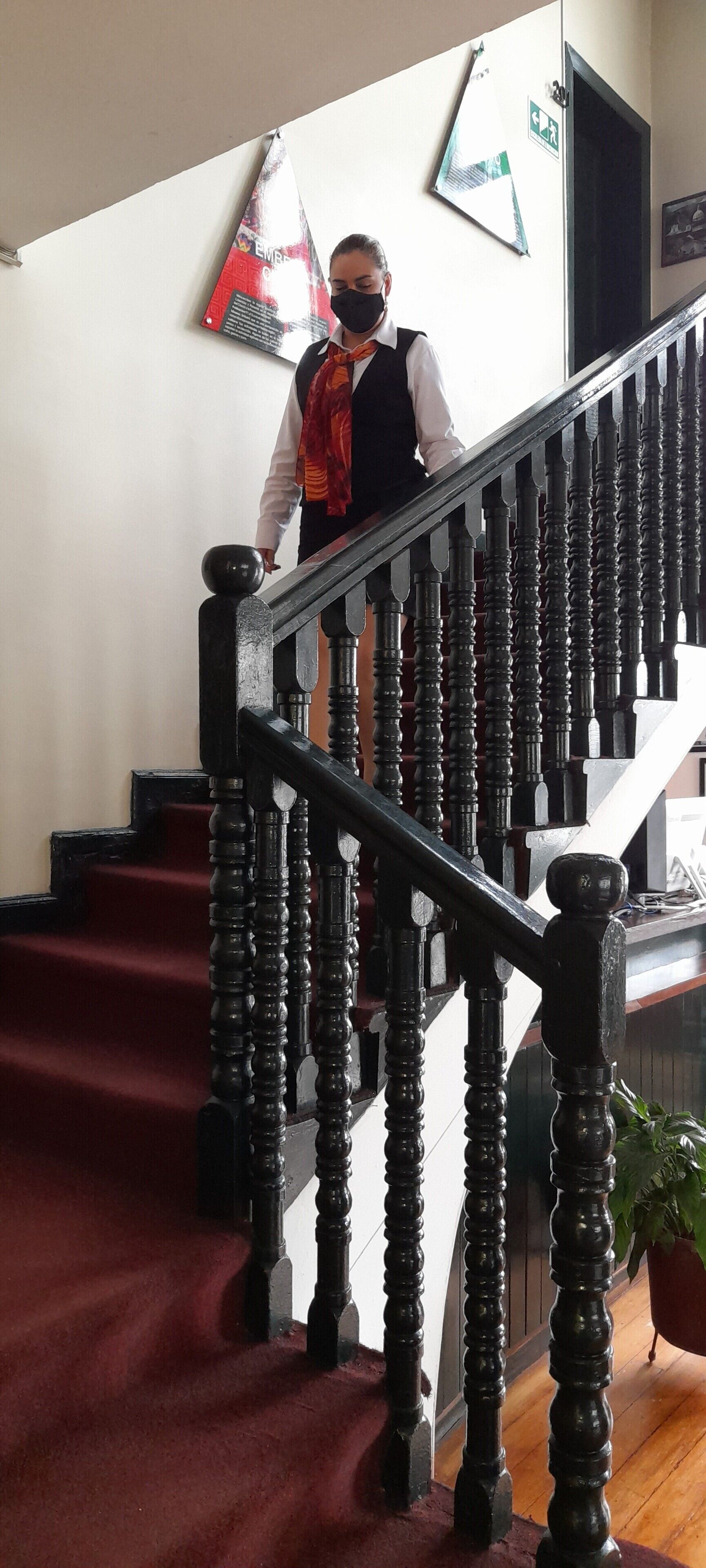 A person descending a wooden staircase with a red carpet.