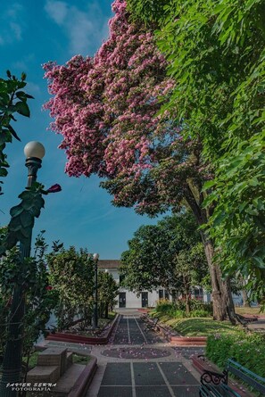 Exterior - Hotel La Herreria Colonial (Popayán)