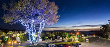 A parking lot with several cars and a tree decorated with lights.
