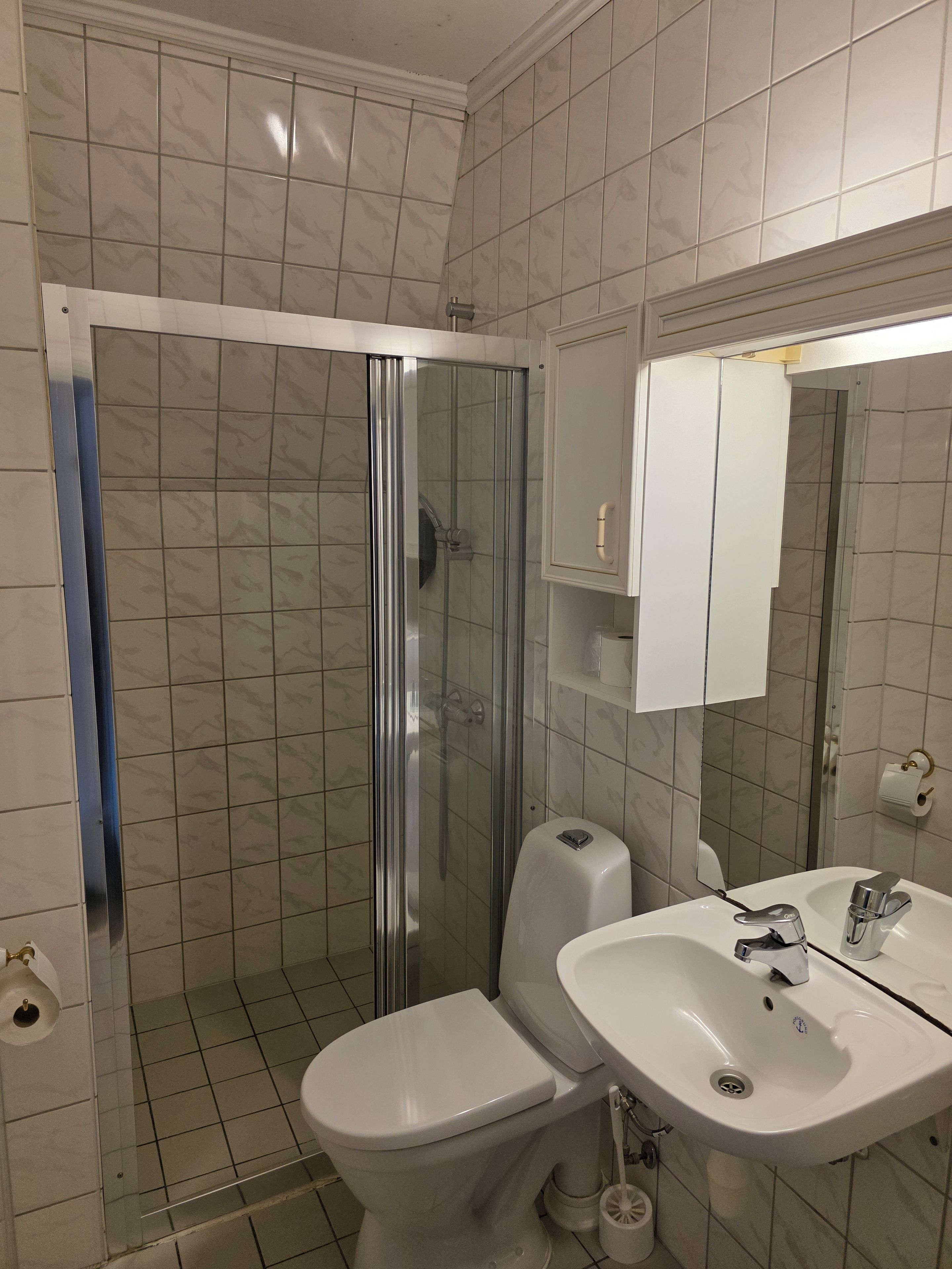Un baño con ducha de mampara de vidrio, inodoro y lavamanos con espejo.